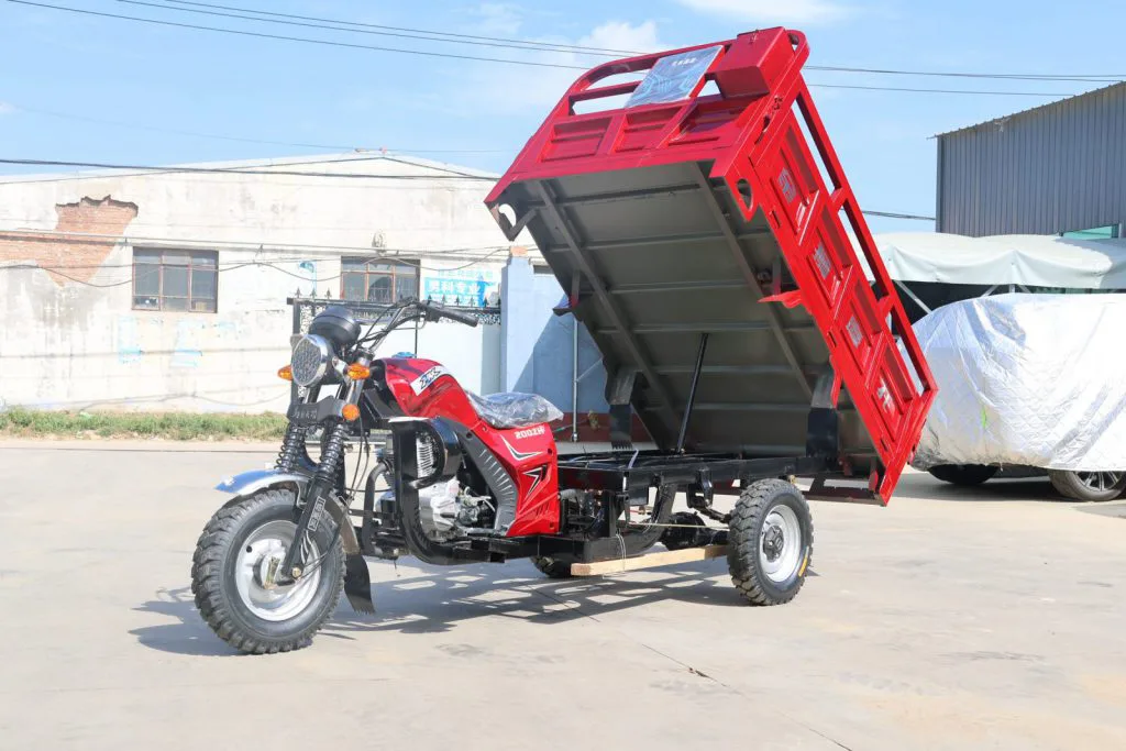 Fuel cargo tricycle – fuel tank and seat detail