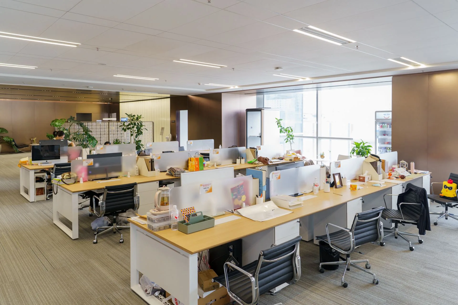STARLAND office meeting space